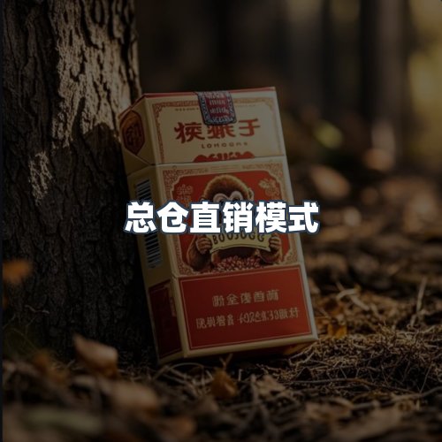 服务优势